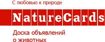 Nature Cards - доска объявлений о животных
